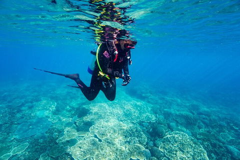 Great Keppel Island Day Trip Bundle From Yeppoon - Mackay Tourism 6