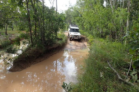 Cairns 4WD Waterfall And Rainforest Tour Including Kuranda Scenic Railway - Mackay Tourism 3