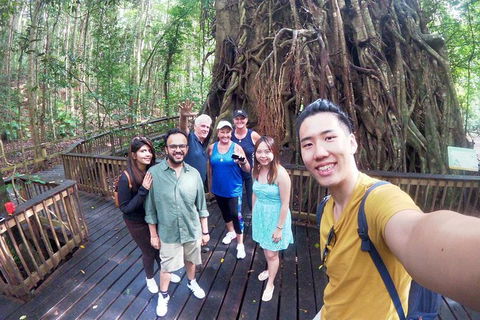 Cairns 4WD Waterfall And Rainforest Tour Including Kuranda Scenic Railway - Mackay Tourism 6