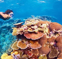 6-Day Best of Cairns Including the Great Barrier Reef Kuranda and the Daintree Rainforest - Mackay Tourism