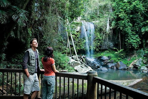 Full Day Small Group Luxury Tour To Tamborine Mountain - Mackay Tourism 4
