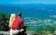 Full Day Small Group Luxury Tour To Tamborine Mountain - thumb 1