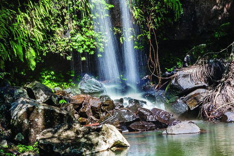 Full Day Small Group Luxury Tour To Tamborine Mountain - Mackay Tourism 0