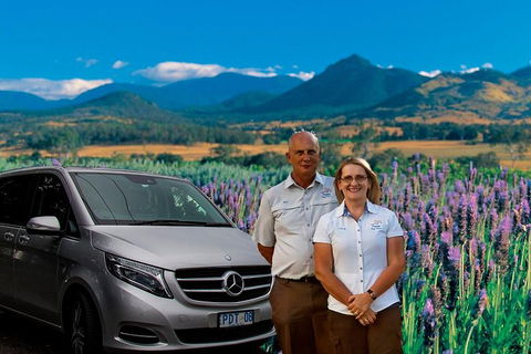 Full Day Small Group Luxury Tour To Tamborine Mountain - Mackay Tourism 2
