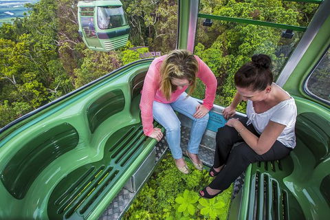 8-Day Cairns Tour: Great Barrier Reef, Kuranda, Daintree Rainforest - Mackay Tourism 1