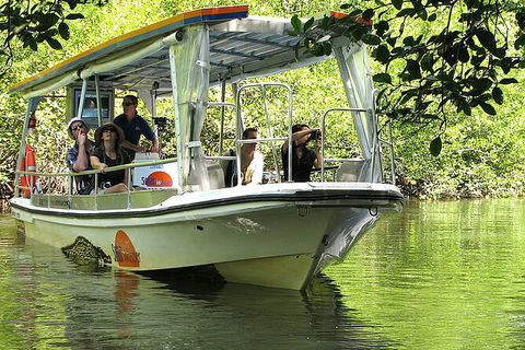 8-Day Cairns Tour: Great Barrier Reef, Kuranda, Daintree Rainforest - Mackay Tourism 3