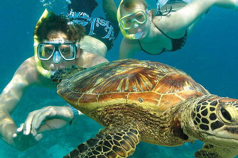 8-Day Cairns Tour: Great Barrier Reef, Kuranda, Daintree Rainforest - Mackay Tourism 2