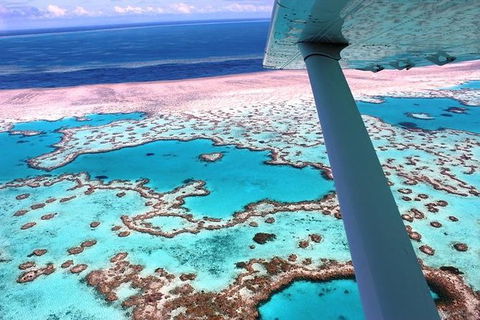 8-Day Cairns Tour: Great Barrier Reef, Kuranda, Daintree Rainforest - Mackay Tourism 0