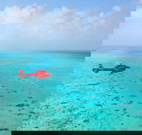 Port Douglas Scenic Flights - Mackay Tourism