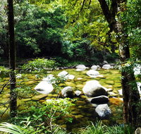 Cairns Daintree Rainforest and Cape Tribulation 2-Day Tour - Mackay Tourism