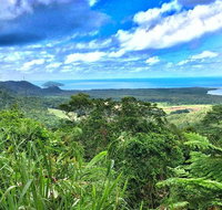 Private Daintree National Park Day Tour from Cairns Including Cape Tribulation and Mossman Gorge - Mackay Tourism