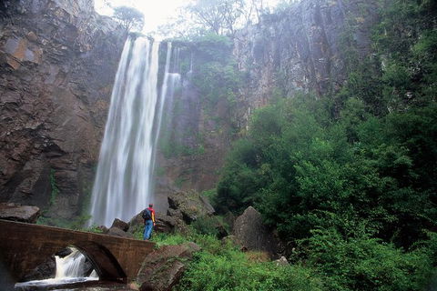 Brisbane Day In The Country Full-Day Small-Group Tour With Lunch - Mackay Tourism 0