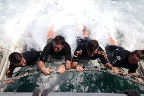 Eco Marine Safari - Boom Netting & Snorkeling Moreton Island - Roma St Transfers - Mackay Tourism 9