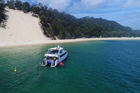 Eco Marine Safari - Boom Netting & Snorkeling Moreton Island - Roma St Transfers - Mackay Tourism 0