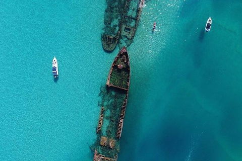 Eco Marine Safari - Boom Netting & Snorkeling Moreton Island - Roma St Transfers - Mackay Tourism 4