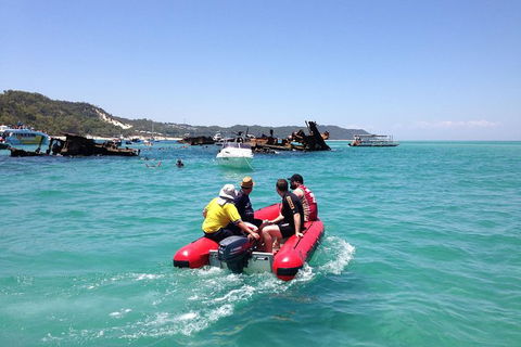 Eco Marine Safari - Boom Netting & Snorkeling Moreton Island - Roma St Transfers - Mackay Tourism 1