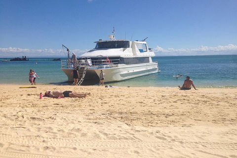 Eco Marine Safari - Boom Netting & Snorkeling Moreton Island - Roma St Transfers - Mackay Tourism 8