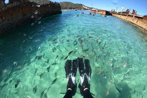 Eco Marine Safari - Boom Netting & Snorkeling Moreton Island - Roma St Transfers - Mackay Tourism 3