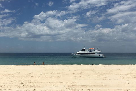 Eco Marine Safari - Boom Netting & Snorkeling Moreton Island - Roma St Transfers - Mackay Tourism 5