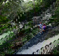 4-Day Cairns with Great Barrier Reef and Daintree Rainforest - Mackay Tourism
