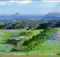 Full Day Sunshine Coast Hinterland Luxury Small Group Tour from Brisbane - Mackay Tourism