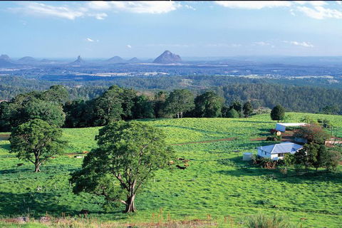 Full Day Sunshine Coast Hinterland Luxury Small Group Tour From Brisbane - Mackay Tourism 0