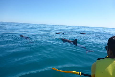 Private Double Island Rainbow Beach Day Trip From Noosa - Mackay Tourism 1