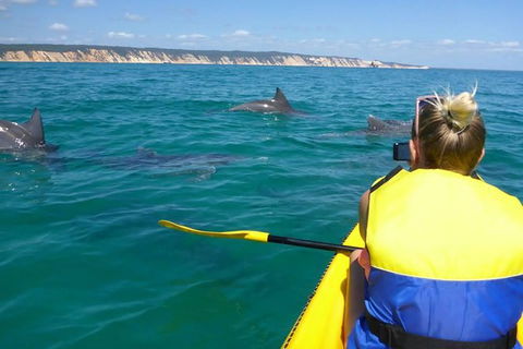 Private Double Island Rainbow Beach Day Trip From Noosa - Mackay Tourism 11