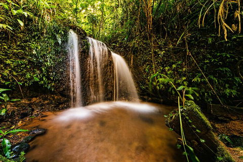 Paronella Park Admission Ticket - Mackay Tourism 4
