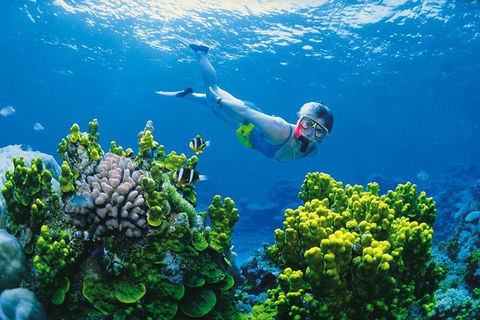 Full Day Snorkel In The Great Barrier Reef - Mackay Tourism 0