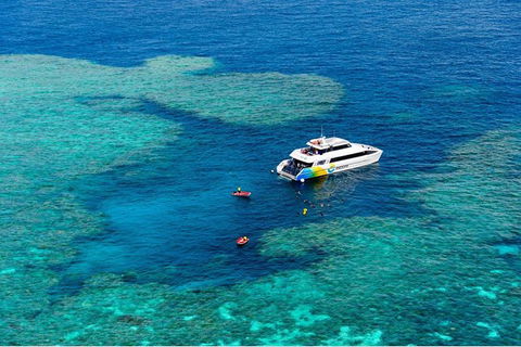 Full Day Snorkel In The Great Barrier Reef - Mackay Tourism 6