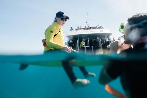 Full Day Snorkel In The Great Barrier Reef - Mackay Tourism 7