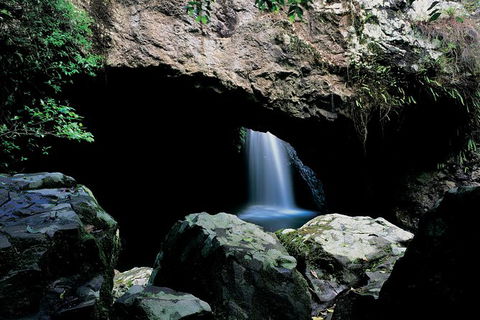 Springbrook National Park & Gold Coast Full Day Luxury Tour From Brisbane - Mackay Tourism 0