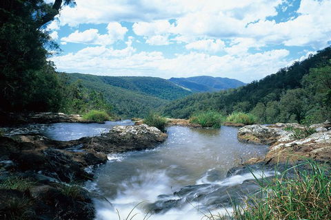 Springbrook National Park & Gold Coast Full Day Luxury Tour From Brisbane - Mackay Tourism 2