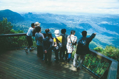 Springbrook National Park & Gold Coast Full Day Luxury Tour From Brisbane - Mackay Tourism 3