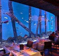 Cairns Aquarium and small group City Sightseeing Tour - Mackay Tourism