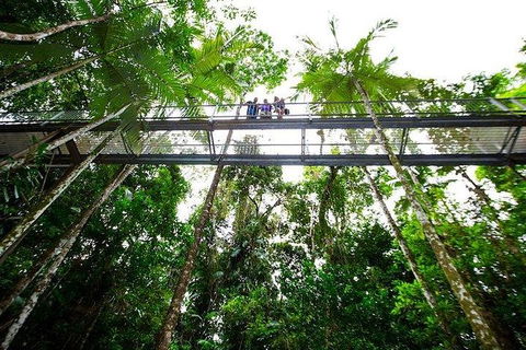 Daintree Discovery Centre Family Pass Ticket - Mackay Tourism 3