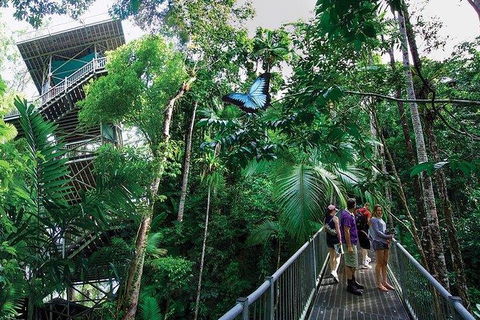 Daintree Discovery Centre Family Pass Ticket - Mackay Tourism 2