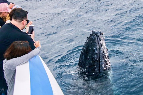 Gold Coast City Card (3 Days Card): Unlimited Attractions - Mackay Tourism 5