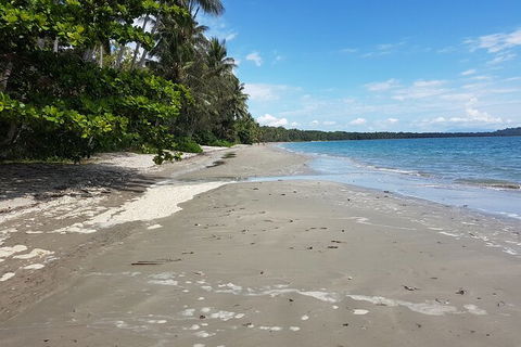 Airport Transfers Between Cairns Airport And Palm Cove - Mackay Tourism 2