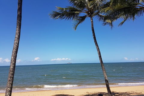 Airport Transfers Between Cairns Airport And Palm Cove - Mackay Tourism 8
