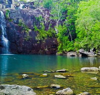 Reef Wildlife  Rainforest - Reef  Beyond Guided Holidays - Mackay Tourism