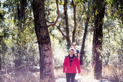 Stanthorpe Winery Experience - Mackay Tourism 13