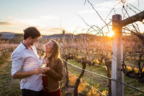 Stanthorpe Winery Experience - Mackay Tourism 0