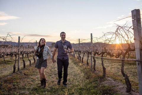 Stanthorpe Winery Experience - Mackay Tourism 10