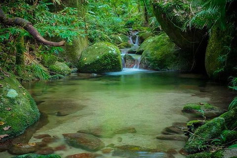 SHUTTLE - Mossman Gorge & Cooya Beach From Port Douglas (Return Transfer) - Mackay Tourism 2