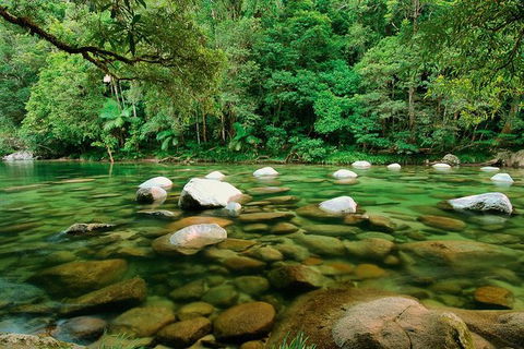 SHUTTLE - Mossman Gorge & Cooya Beach From Port Douglas (Return Transfer) - Mackay Tourism 3
