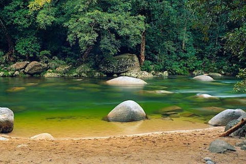 SHUTTLE - Mossman Gorge & Cooya Beach From Port Douglas (Return Transfer) - Mackay Tourism 1