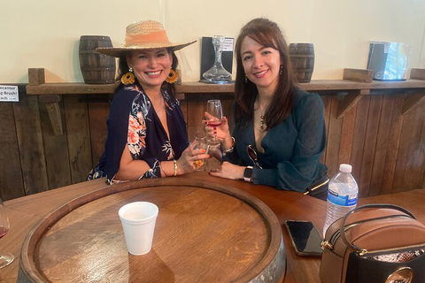 Mt Tamborine Wine Tour - Mackay Tourism 0