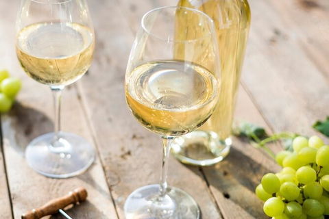Mt Tamborine Wine Tour - Mackay Tourism 15